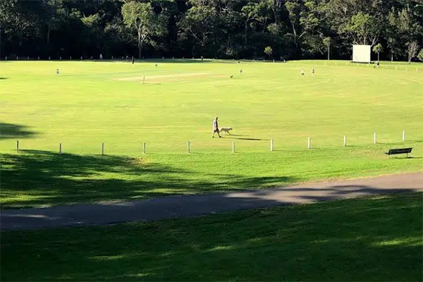 Tunks Park, Cammeray