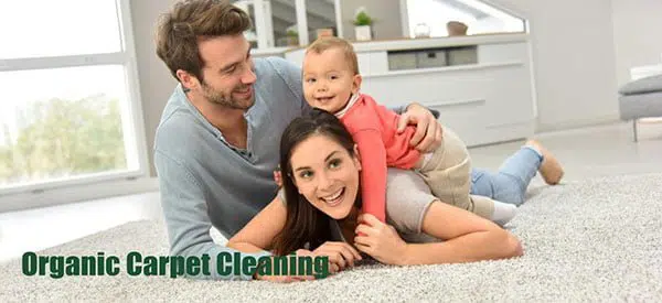 OrganicCarpetCleaning