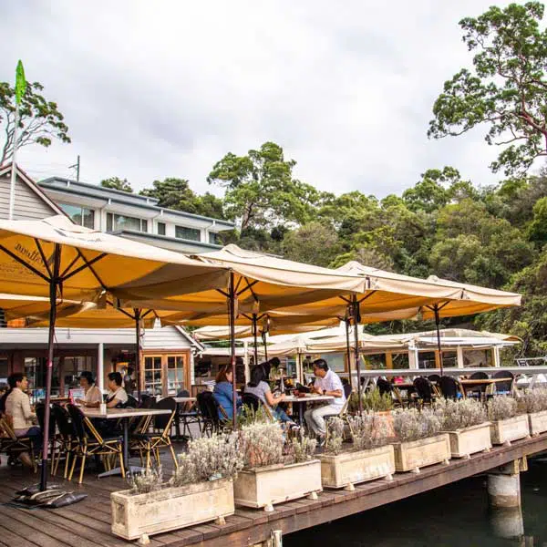 Cafe Review Echo on the Marina, Roseville Chase North Shore Mums