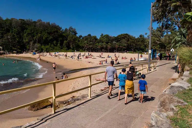 Shelly Beach Manly