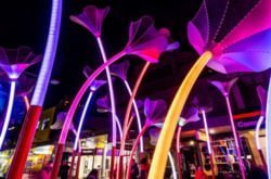 Vivid Sydney at Chatswood 2019: What to see (and when!)