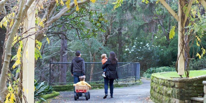 Swain Gardens, Killara