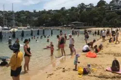 sydney harbour beach