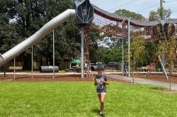 Amazing park in Hornsby! Storey Park Playground