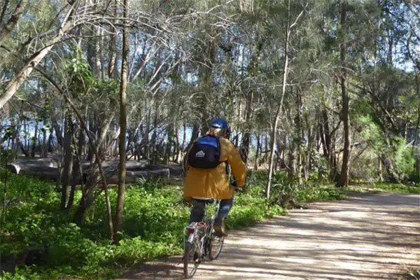 Narrabeen Lagoon Trail