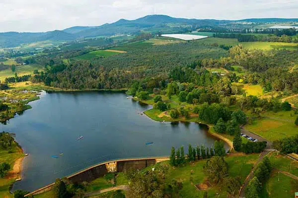 Lake Canobolas Orange