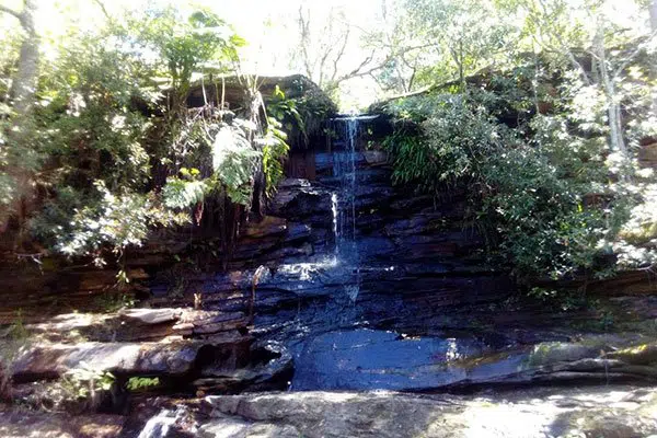 Allenby Park, Brookvale
