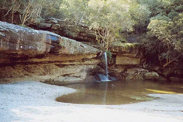 Irrawong Waterfall child-friendly bushwalks north shore