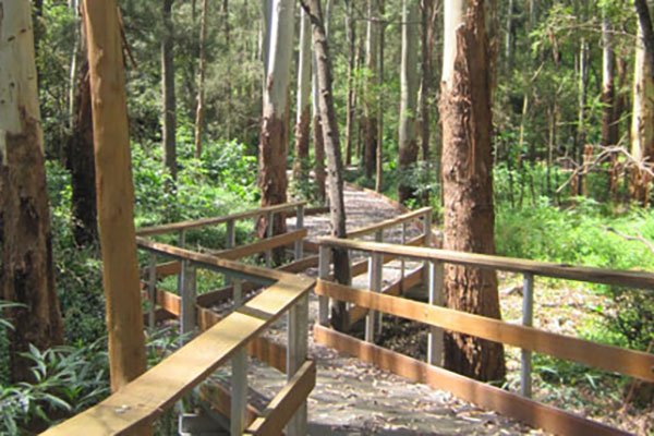 Little Bluegum Creek Track, Lindfield
