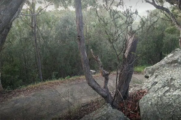 Mambara Track child-friendly bushwalks north shore