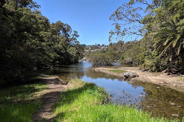 Sailors Bay Walking Track
