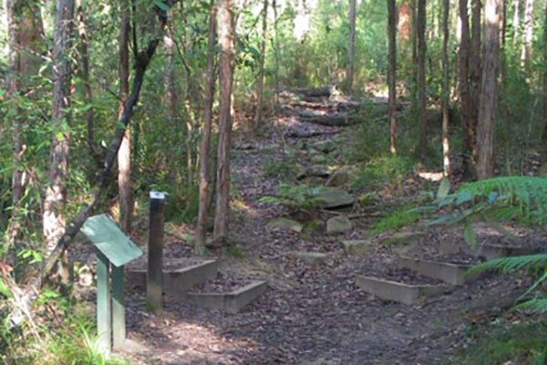 Sheldon Forest child-friendly bushwalks north shore