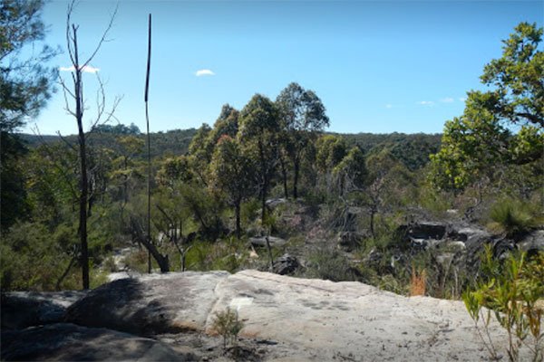 Wildflower Gardens child-friendly bushwalks north shore