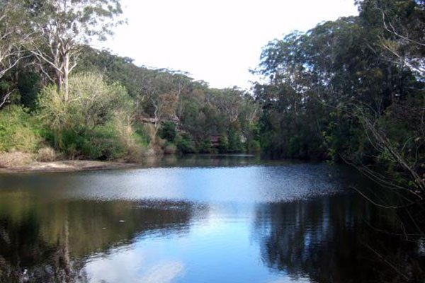 Fairylands Track child-friendly bushwalks north shore