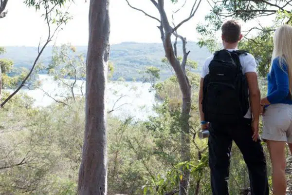 Manly Dam child-friendly bushwalks north shore
