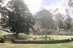 Robert Pymble Playground