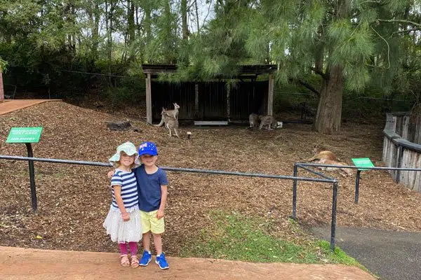 A day at Australian Reptile Park
