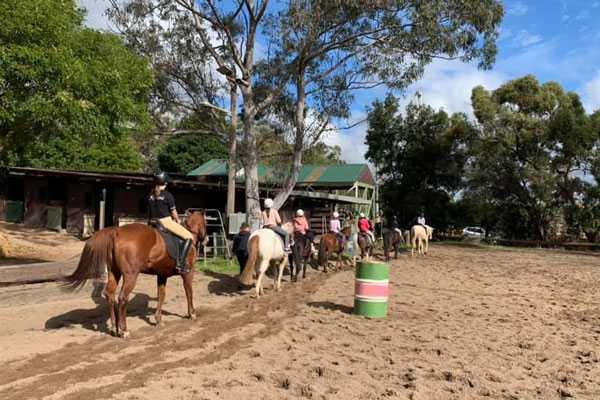 Palomino Horse Riding School