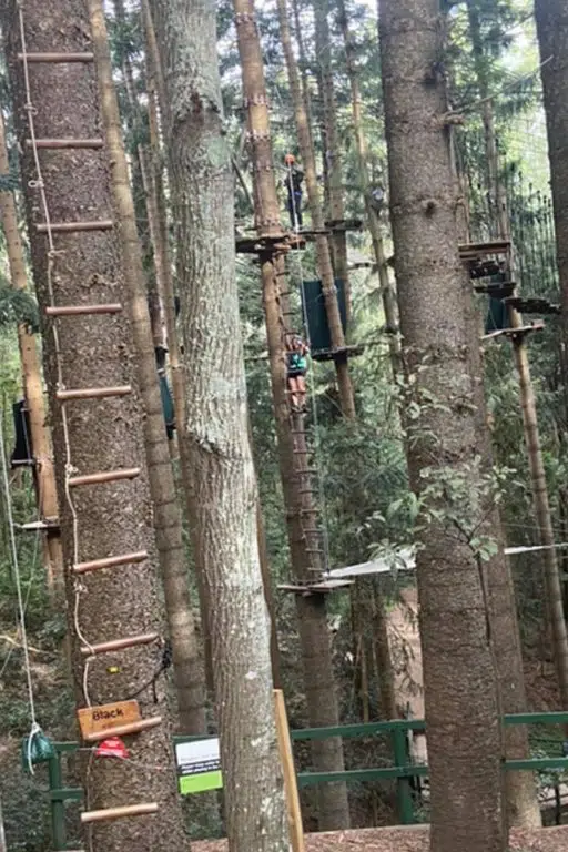 TreeTops Adventure Park