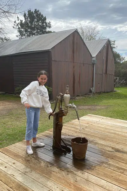 Water pump at Netherby Lodge, Fagan Park