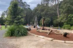 Fagan Park Playground by Carrs Road entry
