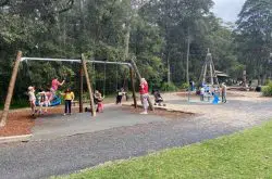 Fagan Park Playground by Carrs Road entry