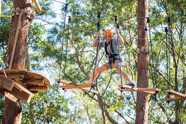 high ropes St Ives