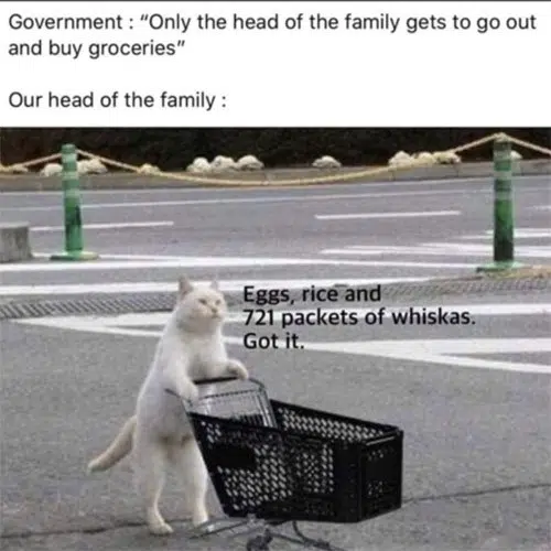 supermarket shopping lockdown memes