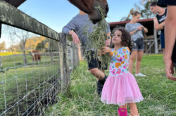 Karinya Farmstay