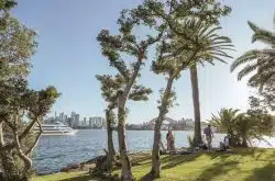 Cremorne Point is a spectacular spot for a picnic