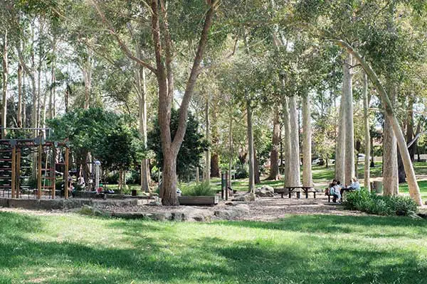 Hammond Park, Chatswood