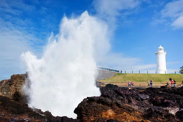 Take a trip to Kiama Blowhole