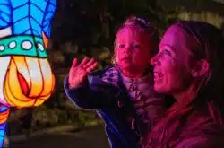 Be a Light for the Wild at Taronga Zoo's Vivid Sydney