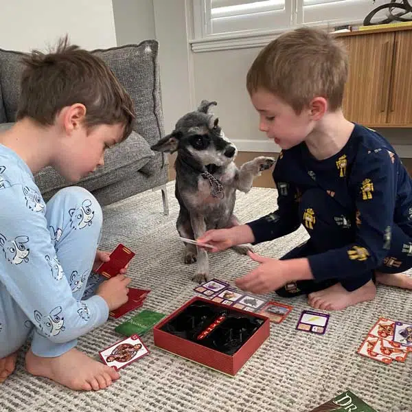 Dog playing board games