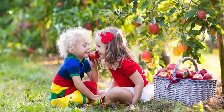 fruit picking tours sydney