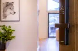 Enhance your home security and simplify your life with Digital Smart Locks