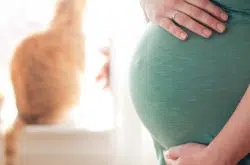 Toxoplasmosis: Can I keep my cat if I’m pregnant?