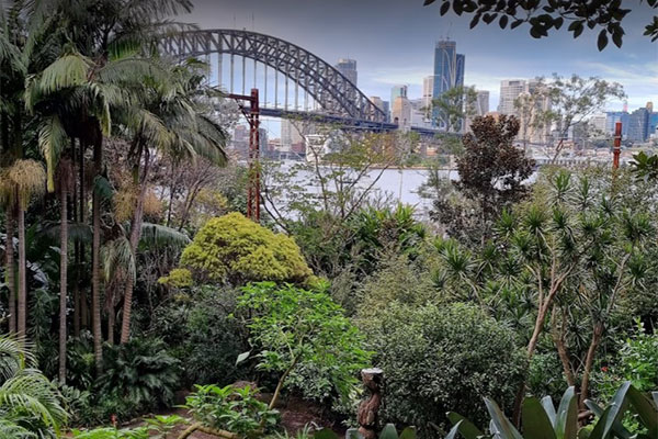 jacaranda North Shore