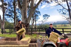 Yarramalong Valley Horse Farmstay