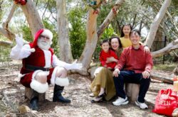 Santa in the Garden, Wildflower Gardens St Ives