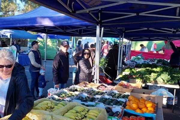 Mona Vale Market-min