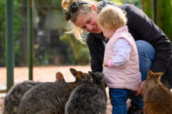 Kids Go Free in April at Featherdale Sydney Wildlife Park