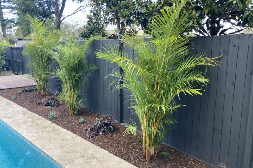 D97E1E7A94374C42A4B12C95C34C351C1105c1717459431