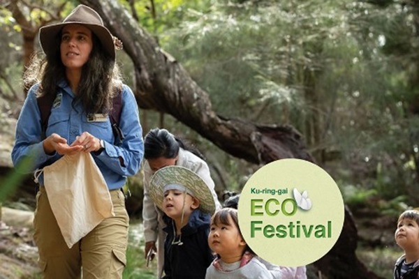 Eco Festival