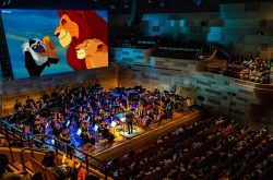 Disney The Lion King