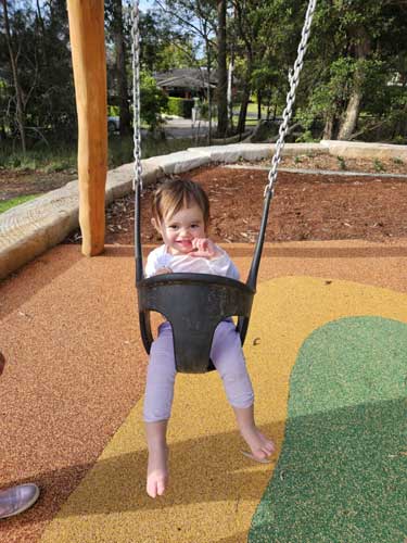 Swings Hassall Park Playground