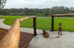 Off-leash dog park fagan park