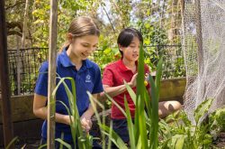 North Shore School Guide: Montessori, Democratic & Steiner Schools