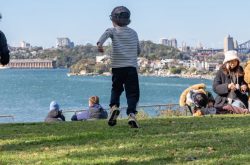 Cockatoo Island Open Day