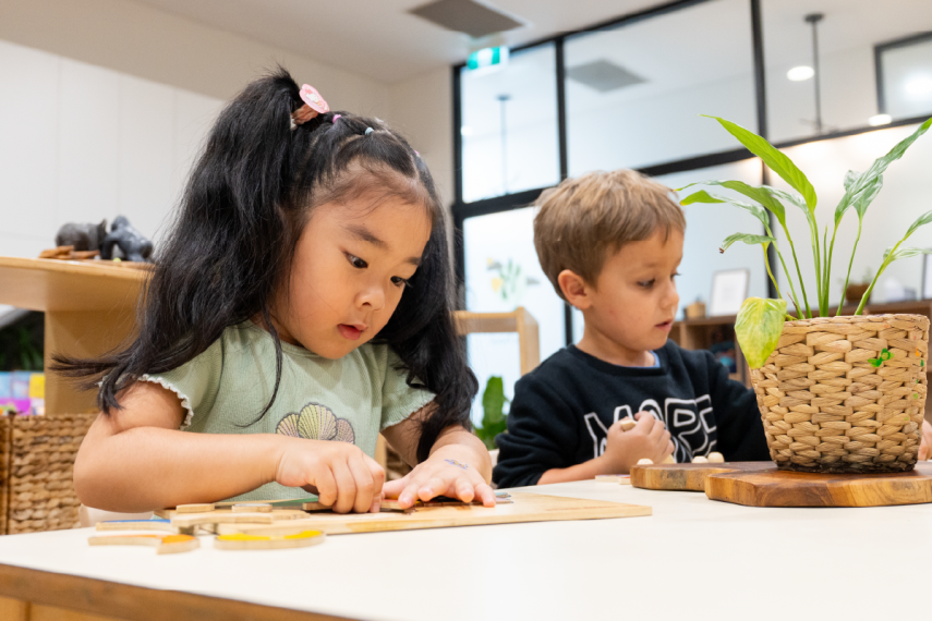 SimbaNSMImages81746161917